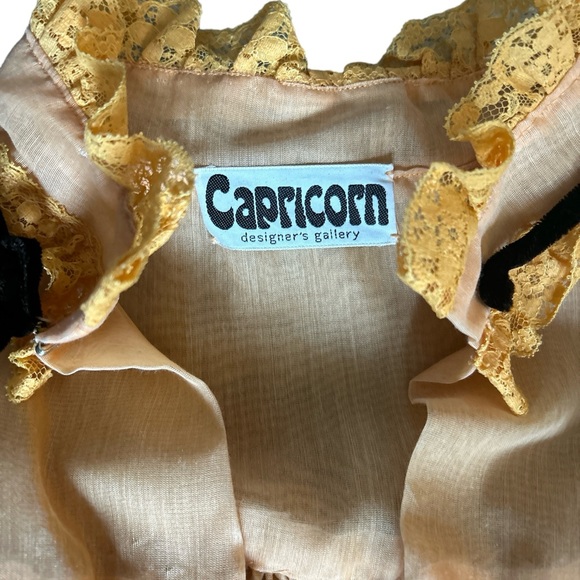 Vintage Capricorn Designer’s Gallery Peach Full Length Long Sleeve Gown Boho S/M - Picture 3 of 11